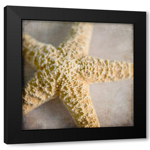 Under the Sea 03 Black Modern Wood Framed Art Print with Double Matting by LightBoxJournal