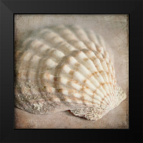 Under the Sea 04 Black Modern Wood Framed Art Print by LightBoxJournal