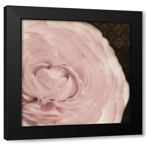 Pink Peonie 03 Black Modern Wood Framed Art Print with Double Matting by LightBoxJournal