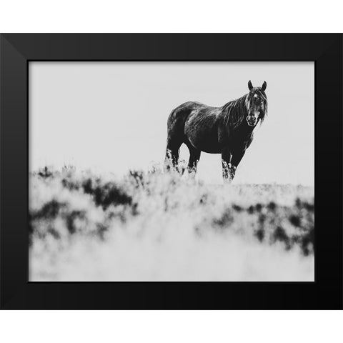 Wild Horses of the Great Basin 01 Black Modern Wood Framed Art Print by LightBoxJournal