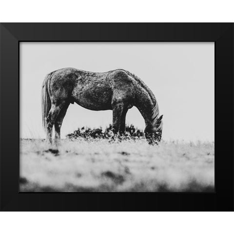 Wild Horses of the Great Basin 03 Black Modern Wood Framed Art Print by LightBoxJournal