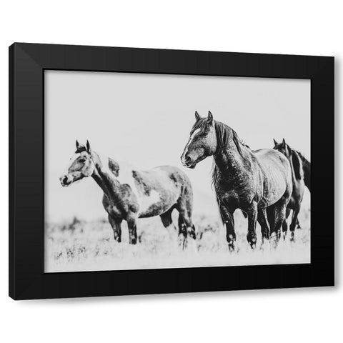 Wild Horses of the Great Basin 04 Black Modern Wood Framed Art Print with Double Matting by LightBoxJournal