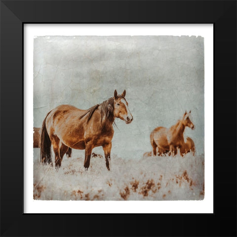 Wild Horses of the Great Basin Lomography 01 Black Modern Wood Framed Art Print by LightBoxJournal