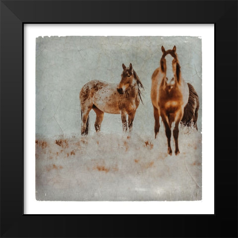 Wild Horses of the Great Basin Lomography 03 Black Modern Wood Framed Art Print by LightBoxJournal