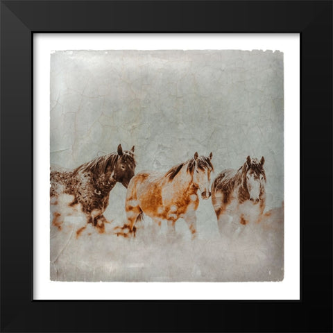 Wild Horses of the Great Basin Lomography 04 Black Modern Wood Framed Art Print by LightBoxJournal