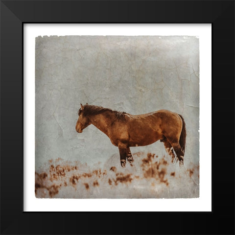 Wild Horses of the Great Basin Lomography 05 Black Modern Wood Framed Art Print by LightBoxJournal