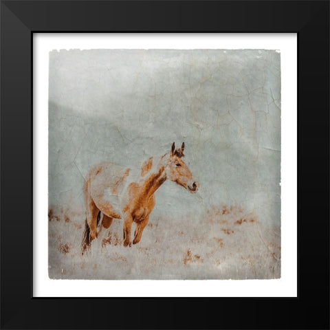 Wild Horses of the Great Basin Lomography 07 Black Modern Wood Framed Art Print by LightBoxJournal