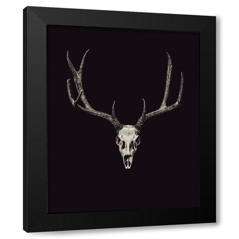The Rustic Antler 04 Black Modern Wood Framed Art Print with Double Matting by LightBoxJournal