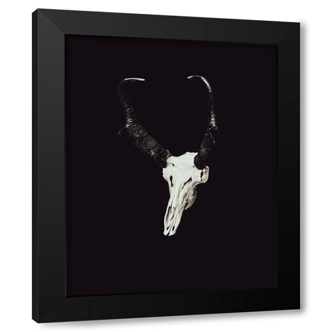 The Rustic Antler 07 Black Modern Wood Framed Art Print with Double Matting by LightBoxJournal