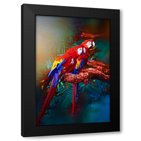 Soulmate Macaws Black Modern Wood Framed Art Print by Love Grams
