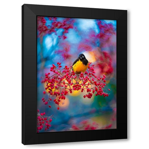 The Oriole Black Modern Wood Framed Art Print with Double Matting by Love Grams