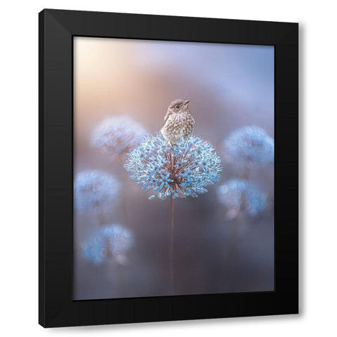 The Perch Black Modern Wood Framed Art Print with Double Matting by Love Grams