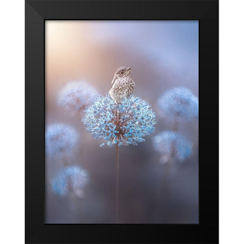 The Perch Black Modern Wood Framed Art Print by Love Grams
