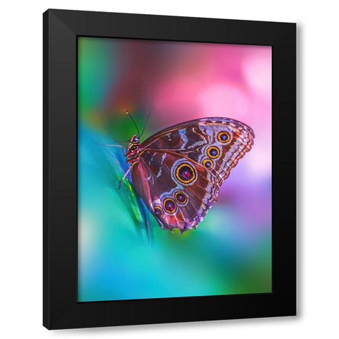 Hazy Butterfly Black Modern Wood Framed Art Print by Love Grams