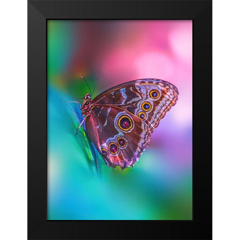 Hazy Butterfly Black Modern Wood Framed Art Print by Love Grams