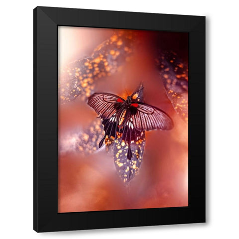 Hearts on Fire Black Modern Wood Framed Art Print by Love Grams