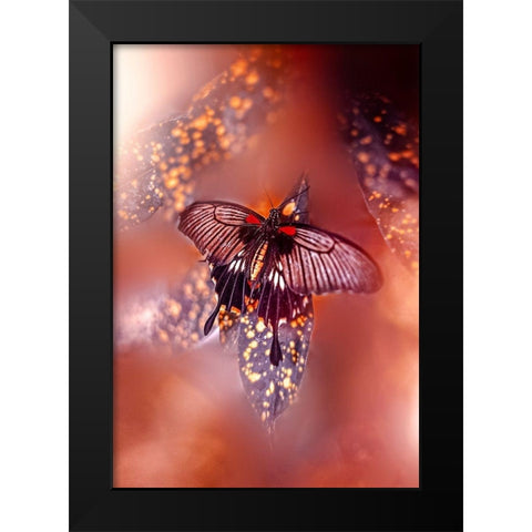 Hearts on Fire Black Modern Wood Framed Art Print by Love Grams