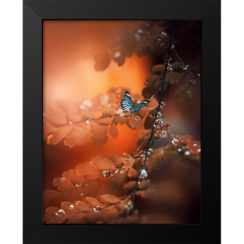 Orange Glow Black Modern Wood Framed Art Print by Love Grams