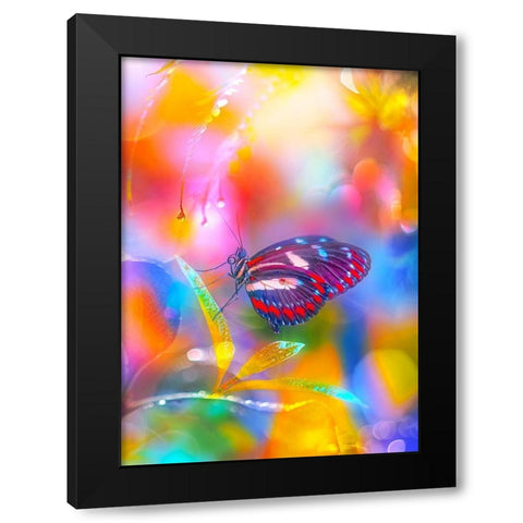 Rainbow Overlays Black Modern Wood Framed Art Print with Double Matting by Love Grams