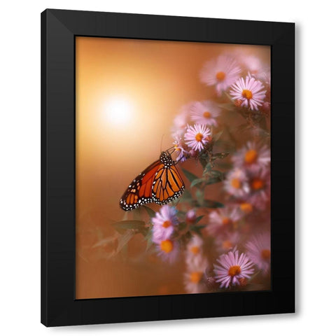 Summer Memory Black Modern Wood Framed Art Print by Love Grams