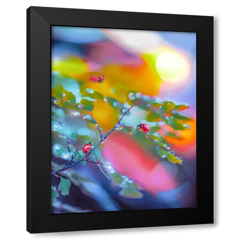 The Ladybugs Black Modern Wood Framed Art Print with Double Matting by Love Grams