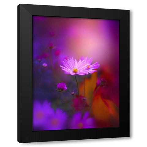 Cosmos in Purple Black Modern Wood Framed Art Print by Love Grams