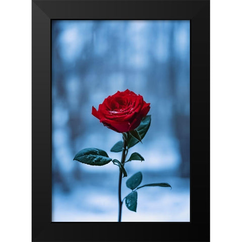 Winter Rose Black Modern Wood Framed Art Print by Love Grams