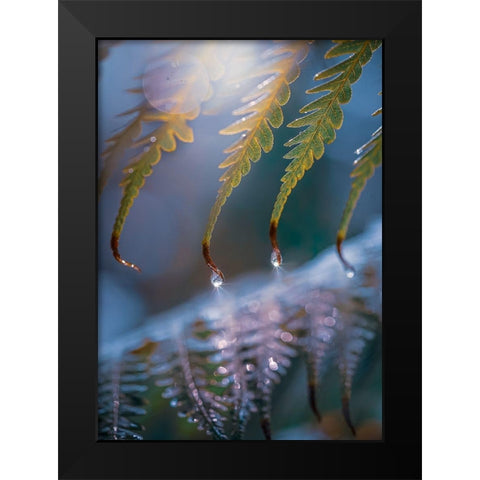 IMG_7584 Black Modern Wood Framed Art Print by Love Grams