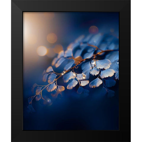 IMG_7585 Black Modern Wood Framed Art Print by Love Grams