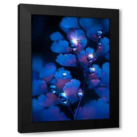 IMG_7587 Black Modern Wood Framed Art Print with Double Matting by Love Grams