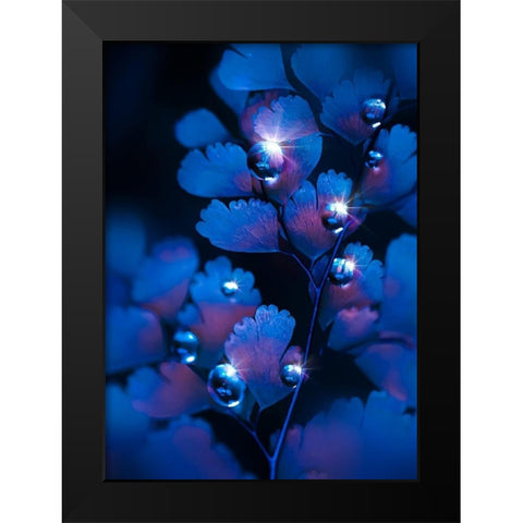 IMG_7587 Black Modern Wood Framed Art Print by Love Grams