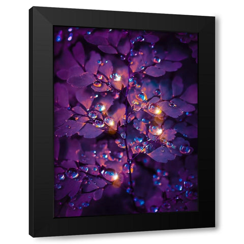 IMG_7591 Black Modern Wood Framed Art Print by Love Grams