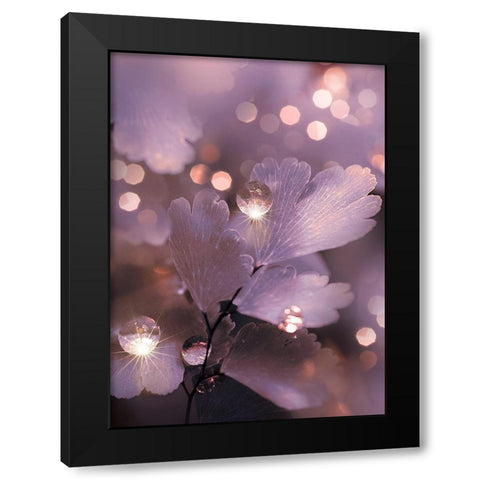 IMG_7594 Black Modern Wood Framed Art Print with Double Matting by Love Grams