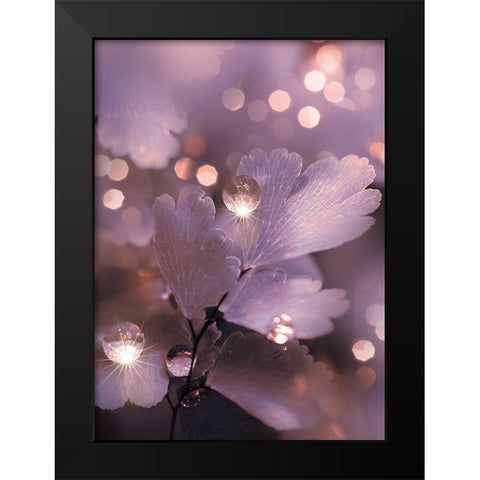 IMG_7594 Black Modern Wood Framed Art Print by Love Grams