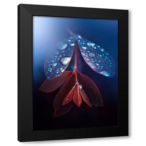 IMG_7595 Black Modern Wood Framed Art Print by Love Grams