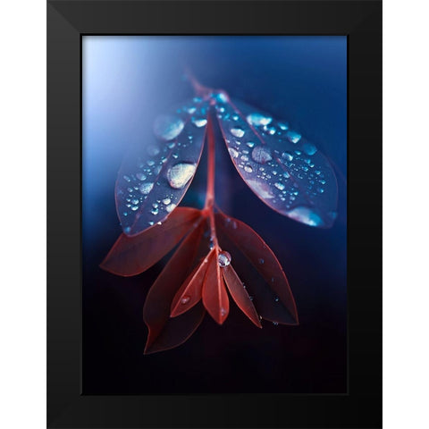 IMG_7595 Black Modern Wood Framed Art Print by Love Grams