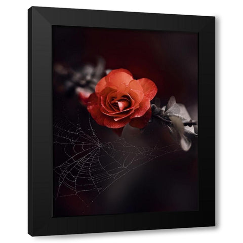 IMG_7596 Black Modern Wood Framed Art Print by Love Grams