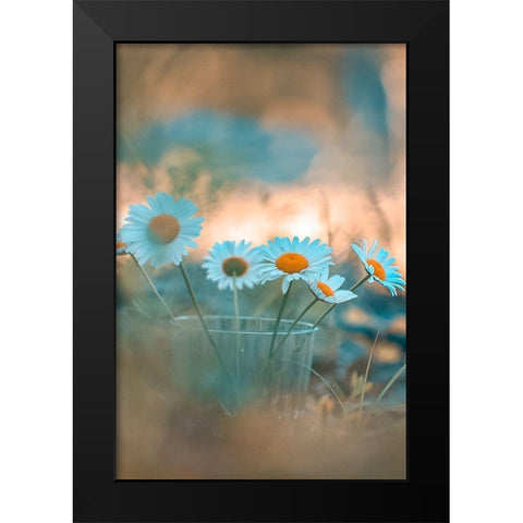 Blue Daisies Black Modern Wood Framed Art Print by Love Grams
