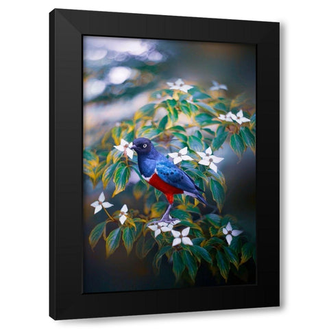 Dark Memory Black Modern Wood Framed Art Print by Love Grams