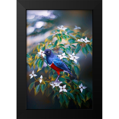 Dark Memory Black Modern Wood Framed Art Print by Love Grams