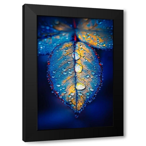 Drops of Jupiter Black Modern Wood Framed Art Print by Love Grams