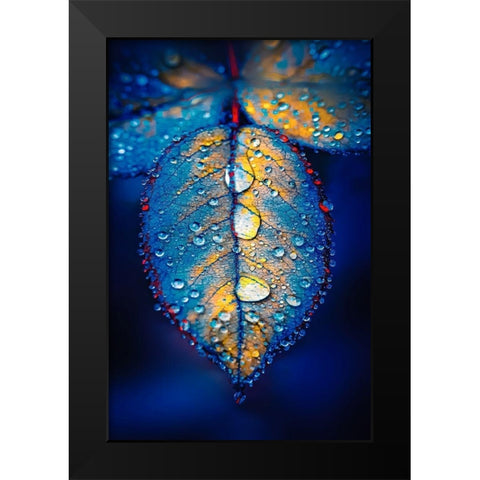 Drops of Jupiter Black Modern Wood Framed Art Print by Love Grams