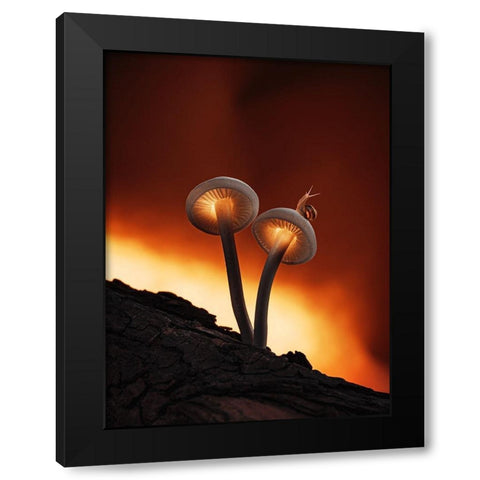 Fiery Mushrooms Black Modern Wood Framed Art Print with Double Matting by Love Grams
