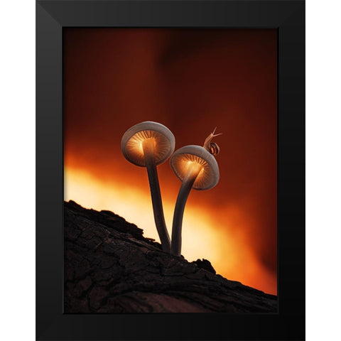Fiery Mushrooms Black Modern Wood Framed Art Print by Love Grams