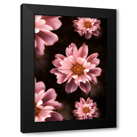 Floral Pattern Black Modern Wood Framed Art Print by Love Grams