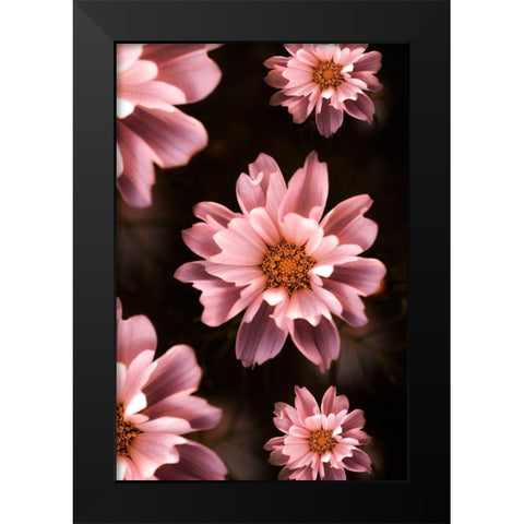 Floral Pattern Black Modern Wood Framed Art Print by Love Grams