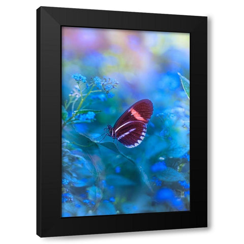 Forget Me Not Black Modern Wood Framed Art Print by Love Grams