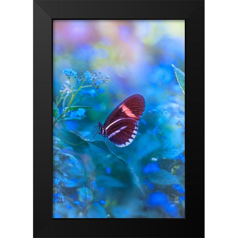 Forget Me Not Black Modern Wood Framed Art Print by Love Grams
