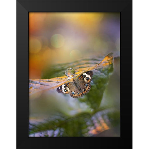 Green Haze Black Modern Wood Framed Art Print by Love Grams