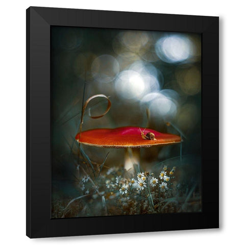Mushroom Fantasy Black Modern Wood Framed Art Print with Double Matting by Love Grams
